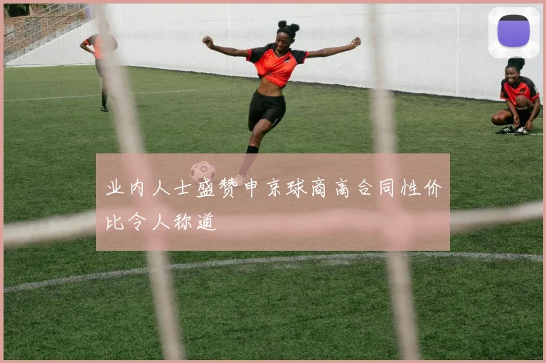 业内人士盛赞申京球商高合同性价比令人称道